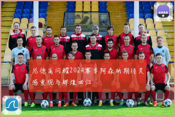 厄德高闪耀2024赛季阿森纳期待灵感重现与辉煌回归