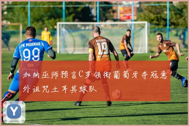 加纳巫师预言C罗领衔葡萄牙夺冠意外诅咒土耳其球队