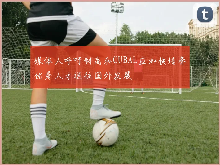 媒体人呼吁耐高和CUBAL应加快培养优秀人才送往国外发展