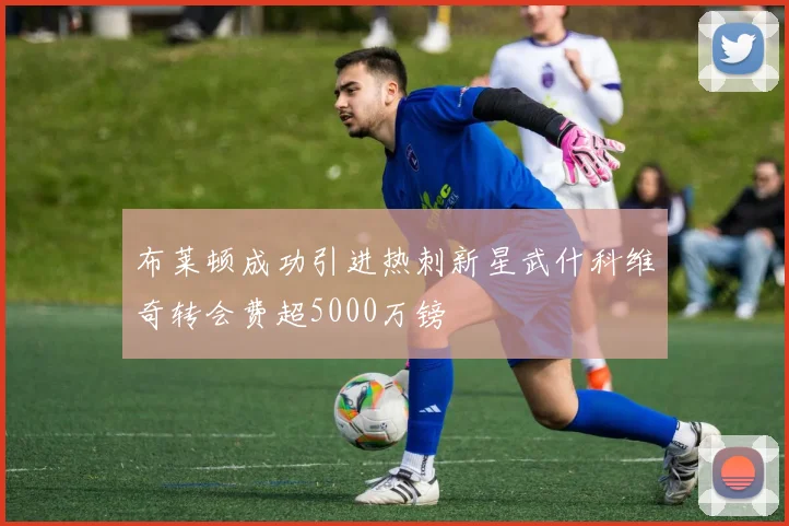 布莱顿成功引进热刺新星武什科维奇转会费超5000万镑