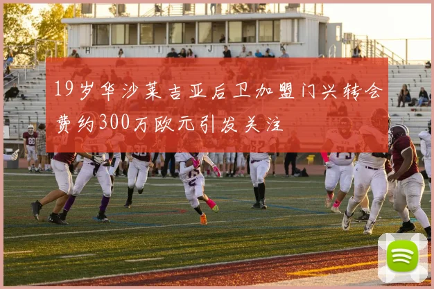 19岁华沙莱吉亚后卫加盟门兴转会费约300万欧元引发关注